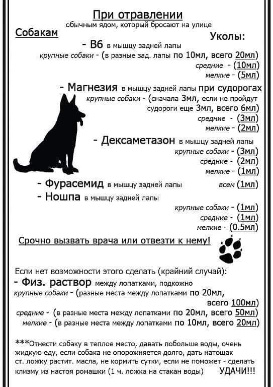 Пам'ятка від «Друзів тварин»